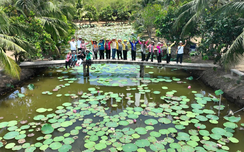 Others 4, Nong Trai Hai Van - San Chim Vam Ho, Ba Tri