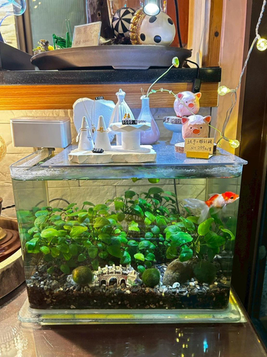 Food & Drinks 4, 竹亮山莊民宿, Kaohsiung