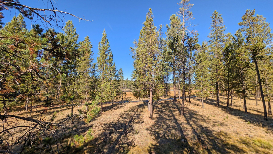 Interior 1, Goldfinch 3, Deschutes