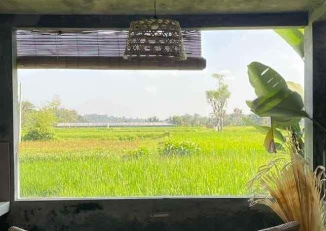 Others 5, The Morgan Villa, Gianyar