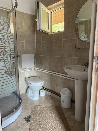 Bathroom, Pensiunea Izabel, Gheorgheni