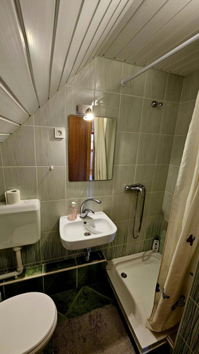 Bathroom 2, Country House Srček, Brežice