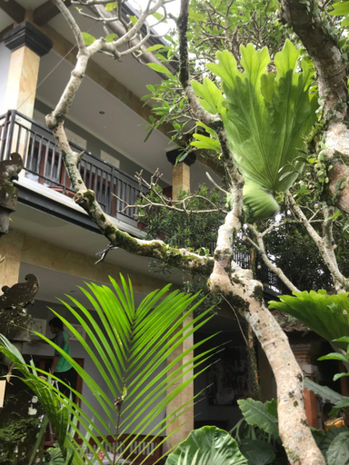 Others 5, GUS ARDITYA HOMESTAY, Gianyar