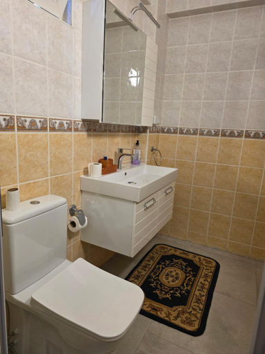 Bathroom 4, Huge Evleri 2, Marmaris