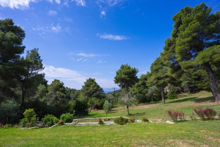 Property grounds 4, Forest Resort Suites Skiathos, Thessaly