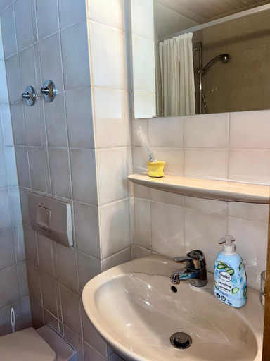Bathroom 5, Hotel Feuerbacher Hof, Stuttgart