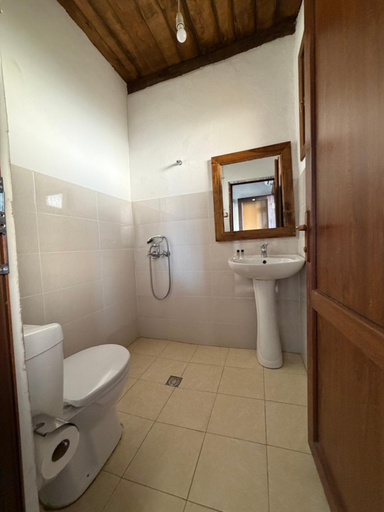 Bathroom, Gugoshvili's Cellar, Kvareli