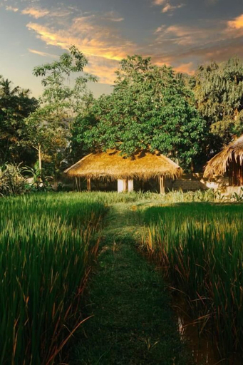Property grounds, Vrihee Resort, Weligama