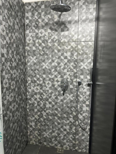 Bathroom, Asha Hostel, San Carlos