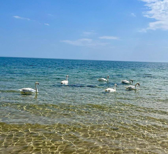 Others 5, Apartments Bellevue, Nesebar