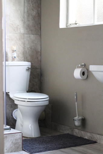 Bathroom 2, TAG@12A, Gert Sibande