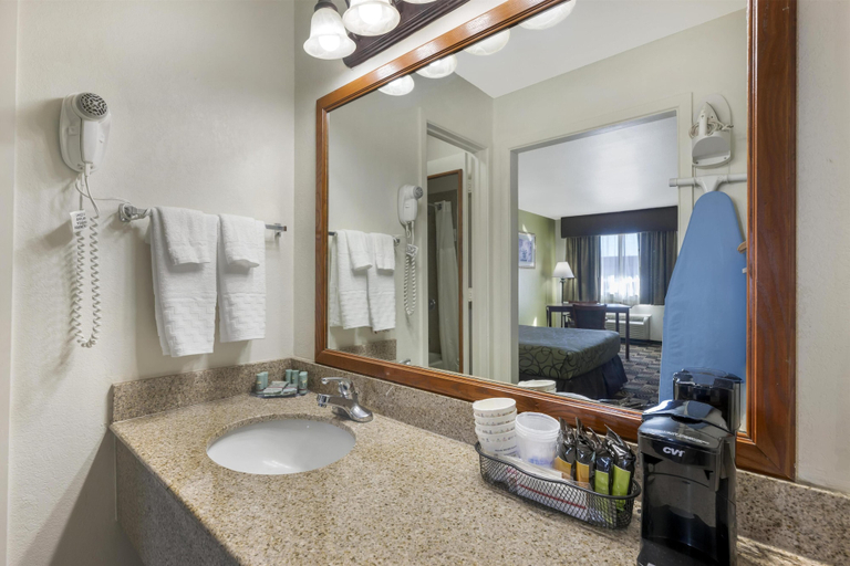 Bathroom 4, Best Western Caprock Inn, Terry