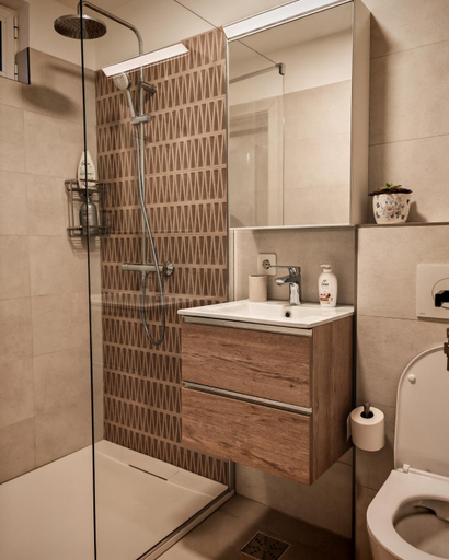 Bathroom, La Garcon, Brasov