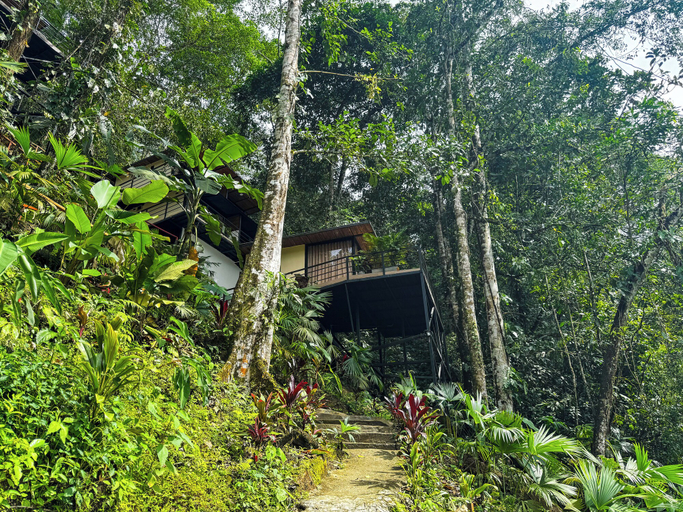 Exterior, RINCON DE LA SIERRA MINCA, Santa Marta (Dist. Esp.)