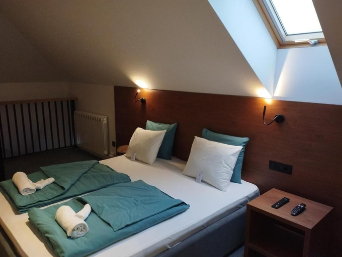 Room 5, Vila Plamenac, Mionica