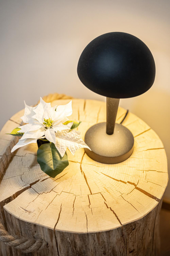Food & Drinks 5, Master Suites City Centre 1, Lapland