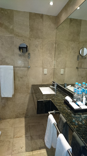 Bathroom 5, Hotel Gobernador, Durango