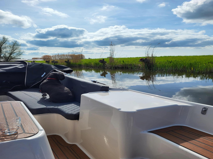 Sport & Beauty, Two adjacent luxury villas in Friesland, Littenseradiel