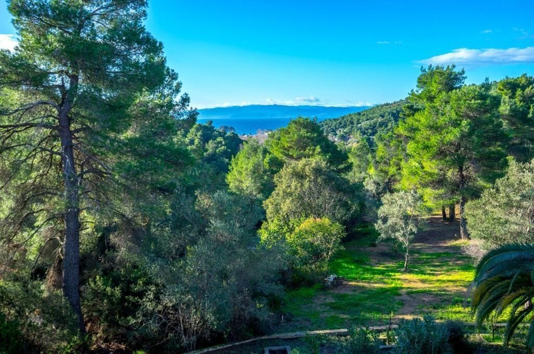 Miscellaneous, Forest Resort Suites Skiathos, Thessaly