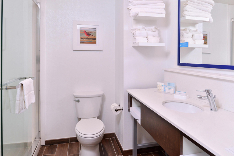 Bathroom 4, Hampton Inn Benson, Johnston