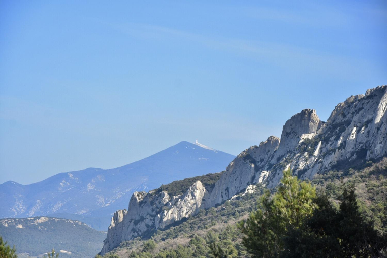 Others 3, Gite sous le figuier, Vaucluse