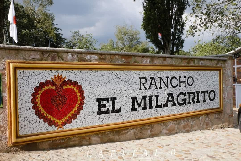 Miscellaneous, Rancho El Milagrito, Guanajuato