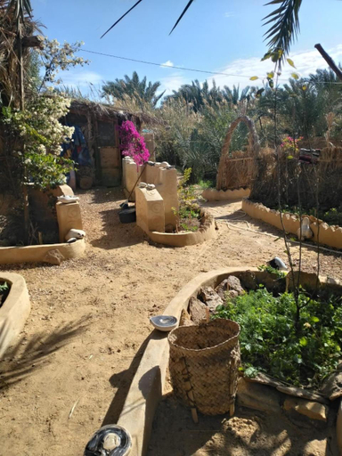 Others 5, Siwa Gardenia Cottage, Siwa