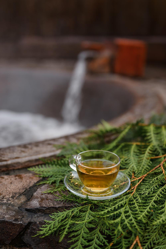 Food & Drinks 5, Bogolvar Eco Resort & Spa, Uzhhorods'kyi