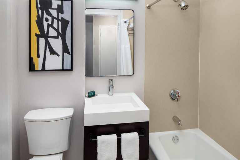 Bathroom 5, DoubleTree by Hilton Hotel & Suites Pittsburgh Downtown, Allegheny
