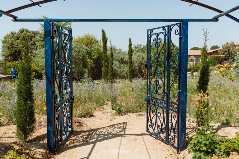 Others 3, Chambres d'hotes - Villa Evajade, Vaucluse