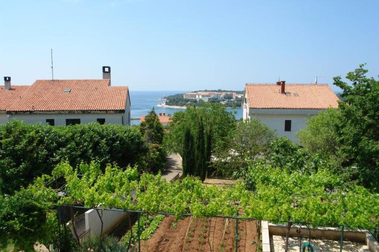 Others 3, Apartments Benito, Medulin