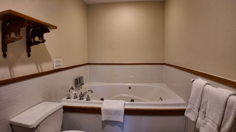 Bathroom 4, Emerson Resort & Spa, Ulster