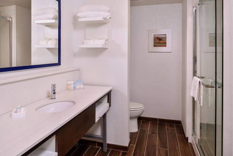 Bathroom 4, Hampton Inn Benson, Johnston