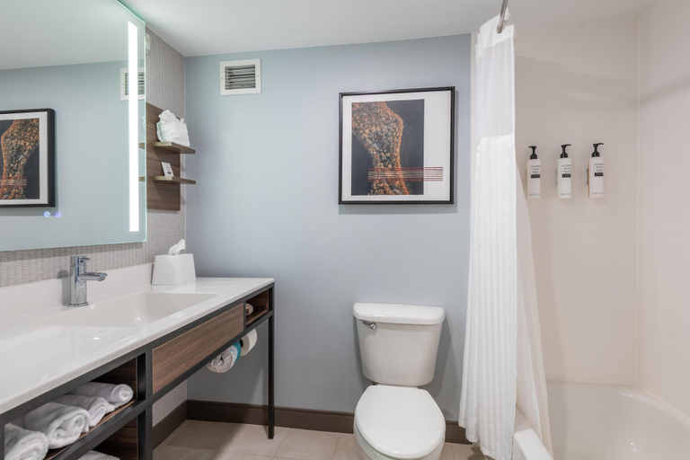 Bathroom 4, Hilton Garden Inn Auburn Riverwatch, Androscoggin