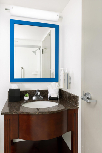 Bathroom 4, Hampton Inn Naples Central, Collier