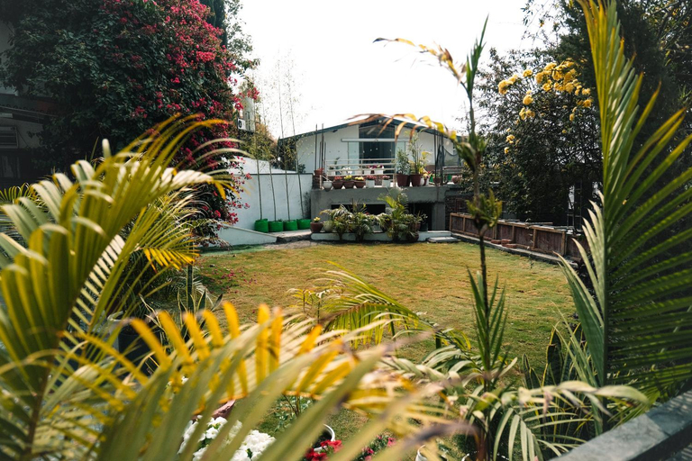 Others 5, The Bougainvillea Retreat, Dehradun