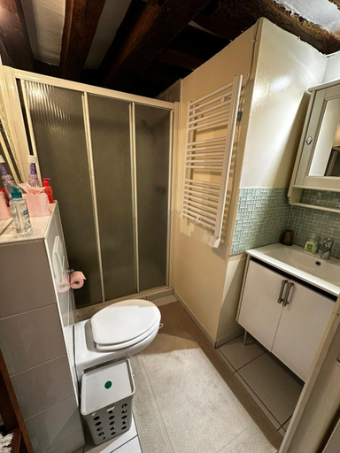 Bathroom 3, Cosy studio Montorgueil paris centre, Paris