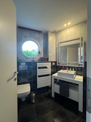 Bathroom 3, Entre montagnes et lac, Haute-Savoie