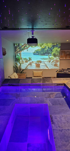 Sport & Beauty 2, Villa Lion - SPA Prive, Climatisation, Sauna, Borne d'arcade, Babyfoot, Bas-Rhin
