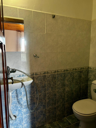 Bathroom 5, Torlacite, Chiprovtsi