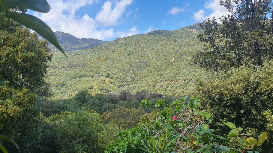Others 2, Chez Aldo, Corse-du-Sud