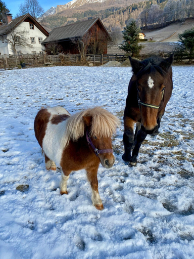 Others