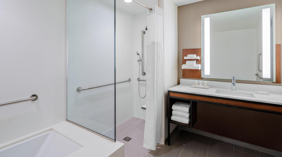 Bathroom 4, Hilton Garden Inn Chicago McCormick Place, Cook