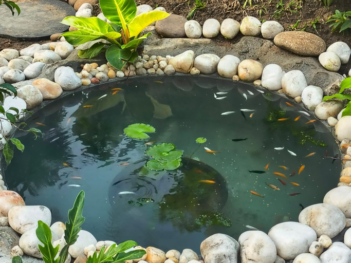 Others 3, Shivoham Homestay, Thiruvananthapuram