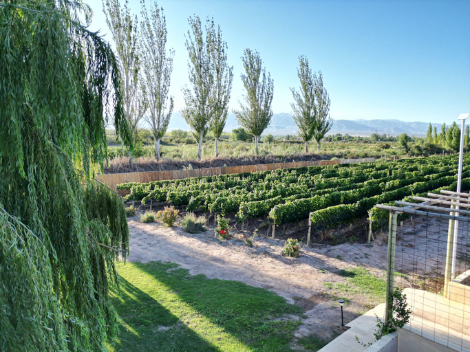 Property grounds 4, Rincon Del Malbec, Luján de Cuyo