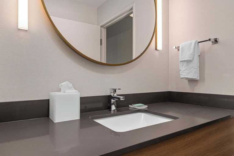 Bathroom 4, Fairfield By Marriott Inn & Suites Dixon, Lee
