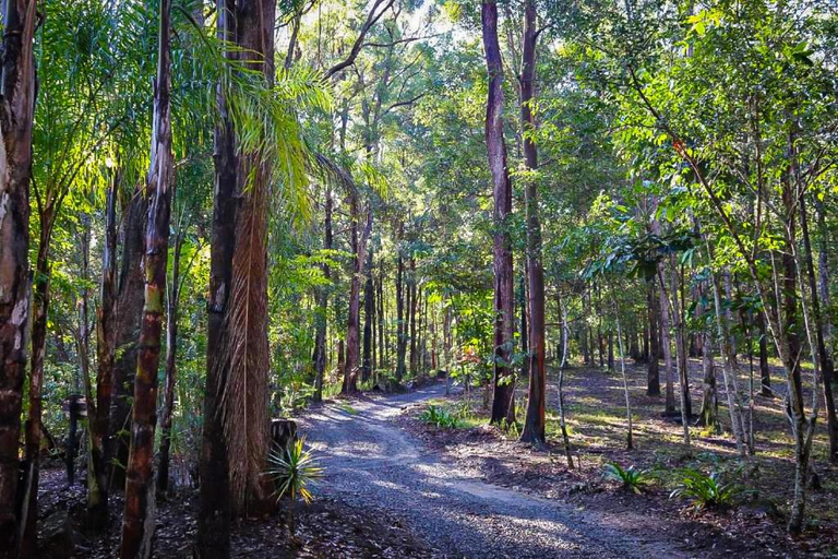 Others 4, GREEN TREES CHALET Australia Zoo close by, Caloundra - Rail Corridor