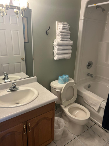 Bathroom 2, Lakeview Resort Motel, Lake Hurron