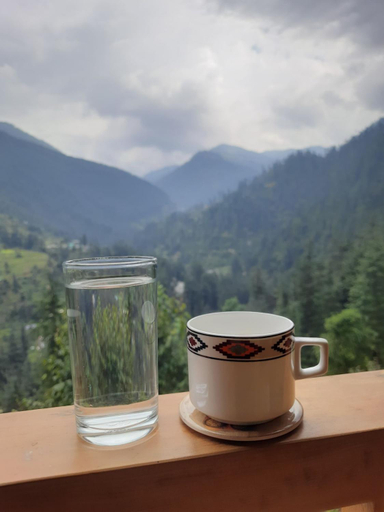 Food & Drinks 5, Jalori View Log House Jibhi, Kullu