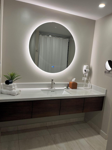 Bathroom 3, The Palms